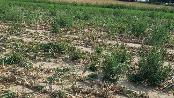 AIL4fc8xMpOZVSo0zlm0D_6nf3z1oUgj9fTGmnGb