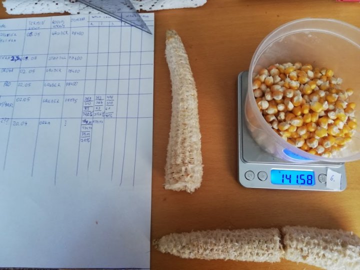 zQJJxeIUmwXg387dmPt5RLkhzmE6A44f7hGRxFE5