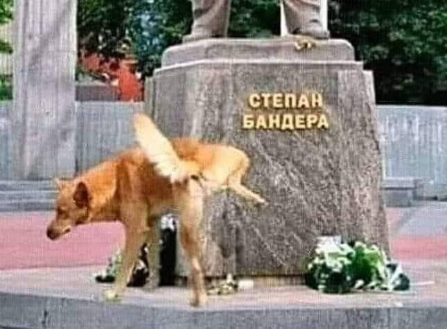 308828748_1111797646192343_5563359355712