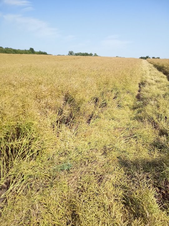 ByWmnjN8sEsfs3ISDDzL_U7aztn33nFxHlbTV6DzIJH7F48_5jJ8zwDVqpM9LutIeXs9FrZpEec9hNevuX5eR-NTyrk2yio4uf-_Vqbg94DWTixBGHiCvwKxnxWftNutD4QLSHj4_yD6_shJtYpDKiEuEcBMNtyLpkrNbAFmfNYWlQ539bT6TLv0aPhliKNBwSlJ9lXrU1Q27ewBjAHPpjjUagfbeAqwKYQKAz6sSTIEUrQVzG7cRQraE-pinKVoCmqqQYlZkoP3E0VCCkJkxpUbdLD3tVyk8Do5RKZM_P5-MqdbhP-0w-JNvVBqaR7it9nNQrHQG0Bv4L1RbIXzfx0qQT5ebqAe1CQnrF9rEcpwg7OuDuj8xJft8hs6WLSvuHlScv8t6gaQkPhNUV1eMXwOq1yc84zoDRU1woigiApTexGUrFmhq0j68dTmmib-_-z3v2XS5f1VB6bJ5LhmIPCtOts8SNpS0be82TN7Q1fwRnZ-jUstX5HajcoGHMySw_8s-d5pf7xbPlp_7iEK0xG3pEzGvKvFd6II2_pAeuZ6k1rLO-aMtxZGc3R4CO032lHTDZcQhC-5adTZDw9pN0CPtRSt-Ymh1UCx_C8LduzTGyIiydIKSmSz41qhz09mvjU8nomXM4wYJ_GF_Mh4s6dOtg4xLNhPsa5NjHaW5qkj74LvhIygbmRyaZ0eVsBsvAYw_Nll7hByGA5wj61yrviFt84Hv6VzXfHO0W-ThCceFfDqGPxcB12yTdM=w703-h937-no?authuser=0