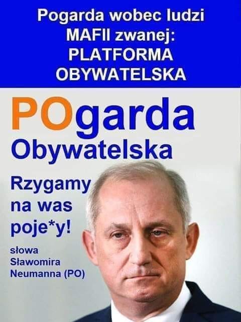 71402159_2431963520243867_39344036404495