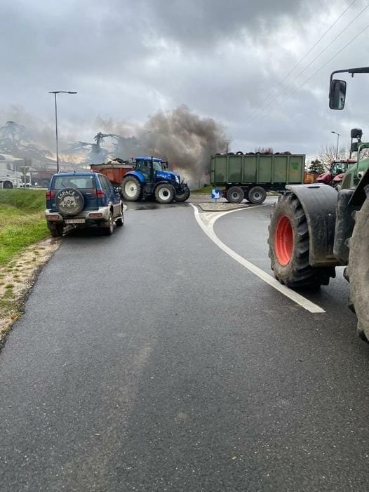 271263684_4694392413931405_5323981022832