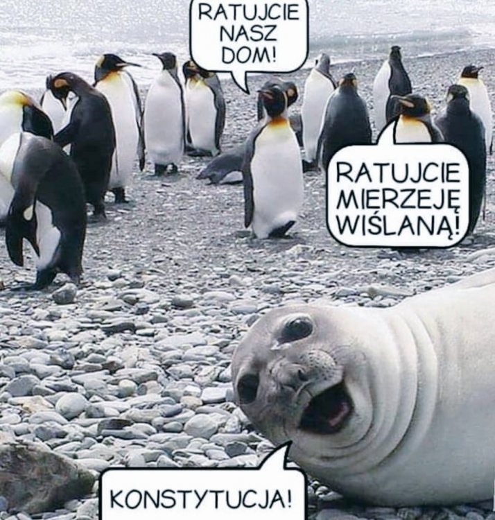 Dz40JSwX4AEoTfu.jpg:large