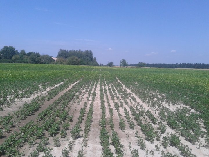 ACtC-3fswSp4FmsJKqE1Po11yP5jMCi71TR-FQlv