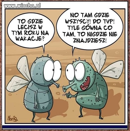 Może być zdjęciem przedstawiającym tekst „www.wiocha.pl TO GDZIE LECISZ w TYM ROKU NA WAKACJE? NO TAM GDZIE WSZYSCY! DO TVP! TYLE GOWNA co TAM, To NIGDZIE NE ZNAJDZIESZ! Hario”