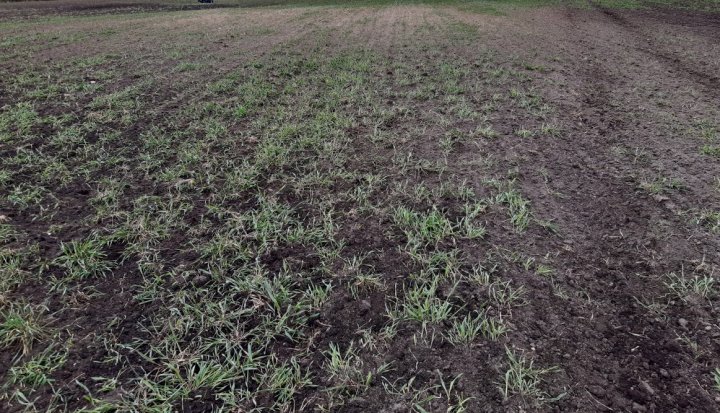 oL6OTXJ24bfdZUwBAy7DI7Kv_XpougxDQuqdP5Vn