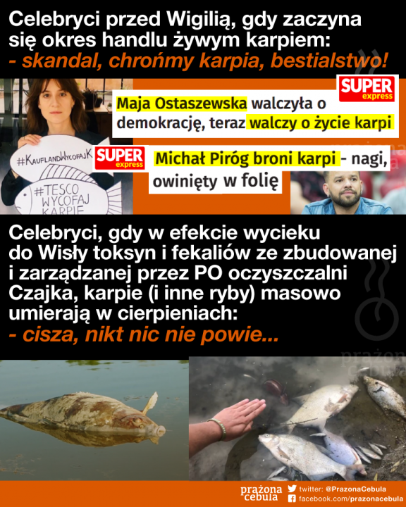 119141999_3353471824675227_4284122952698