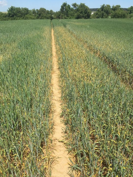 J23Lh9rBUOhb6w00u7Z35HokDHa3yG1R_zLQ_zzk24ubFU9ijiFBIsP6g3NTjEaaup9e_pWPIsuYkJbOBy_C1zEVP49fe9BSdkowjo2Oba2k4WdZ7GO9pq81ESt6PCi21RrGL481Hcrj0nXRLmZkfqKkK_Nc35RbJKjqA0bSOFqBZ8yVAU1GY4fTJ22WDOKfQyGNpiOs8FDmV7Pz-lFxk7waLMCQm_DgSB72xXAWLnXYLxFKA7GtFsCtEAGcy64gmjl1yjBfVXh8pwKTgozXzk-if10fckcj8QzUyYpZ_PZtLI-f8VKhxktt27COVTfXKViQ6Em1YQK-R2sPz8L1P-VSYT2vR3j_yj-n93wc0DWT8rEAXVencOiq7C8Fz0-d01qYzJF7Jxdr9YtDGIc4iKI61VIaStZ4EN3BjDpSP4VARKXx8xwt_8mm3JR-SLx1xpb0RKKROcCUTzemdjX5cnOg1TYtOzkbbcGeAVy8y0CLjJdVHdJELiWRxY4UATVH_8cvcRsTS6z2VrMFQLAE7zxXgvwtbbVCvS2ut_A4Lq4REdjMm1s1vCYZMghTfmmBsAk-8OwkBAACAyfX0bXZSb1Nhc9qL6z9sqKfcG0zBoFm-JuFLZmblqFpUsPsSpoVEm-Sl7QhARzmhmZr3DbtOfzVwxd3t0D3mjgUBmKwJn32tJU8itTb8gGGtZCU01o83Xduo0M3GlsITCLdRfRETHErjOruXVWT4GoZu0KUAaoIY8OQoH-AEVVEvAxg7Nv1BpxSn1etr-gtEEvQQ40gd0_PMZXT84TICYqbtAQUIMWWgGNfRoW_SQ_zS_zu6ZF_0WhLhPRq5zMfj-GC61nRb6m9matnQEZ6zeklJEHQljwWt0Kx4djYyw9KIb_h1gMz_T_PkaQT3gtn65xp3BHcBzEPmRnr0E-DiM0vvFflpZg_=w703-h937-s-no?authuser=0