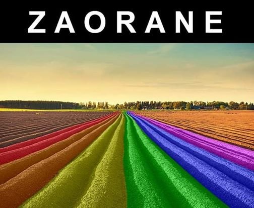 Obraz może zawierać: tekst