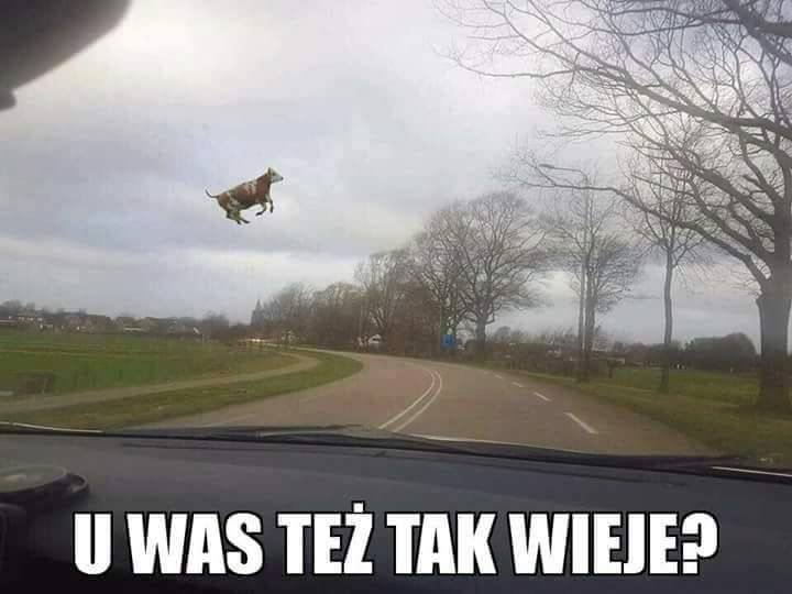 Obraz moÅ¼e zawieraÄ: na zewnÄtrz i tekst