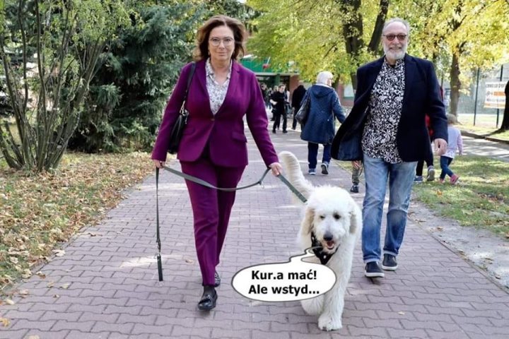 95480932_1114016528975853_80196420183240