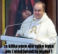 295859295_443910977608203_99712105740390