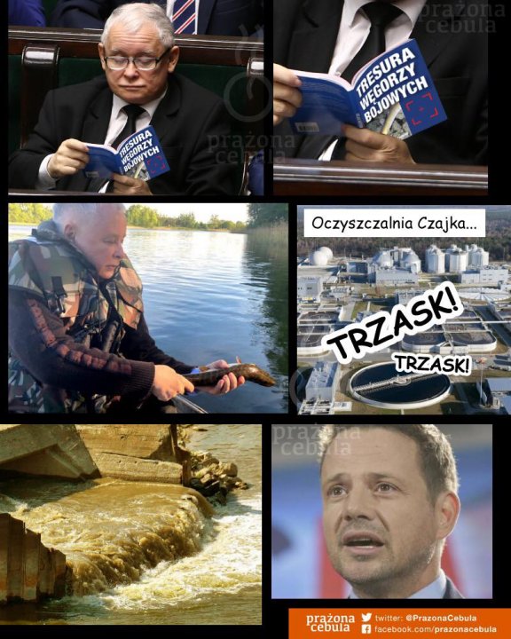 118774598_3319902681365475_8962613933804