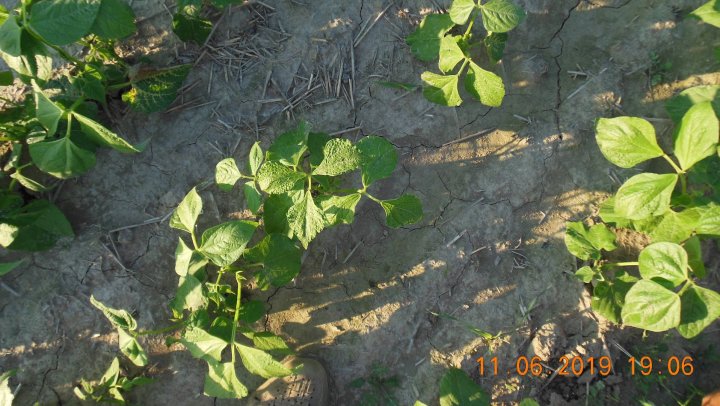 AJFCJaVIMLPY6VBgW7whMrB15T83YOTMFlXnJoxM