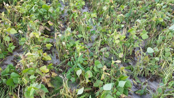 AP1GczMo-wmvmYZuESjbK66OvkP611nJza53bjO8