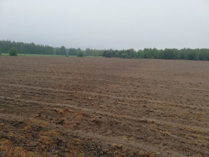 KCzdbDZboDKDsLuXX1K2YYI6OCVn3HNSkZJ8FAn9