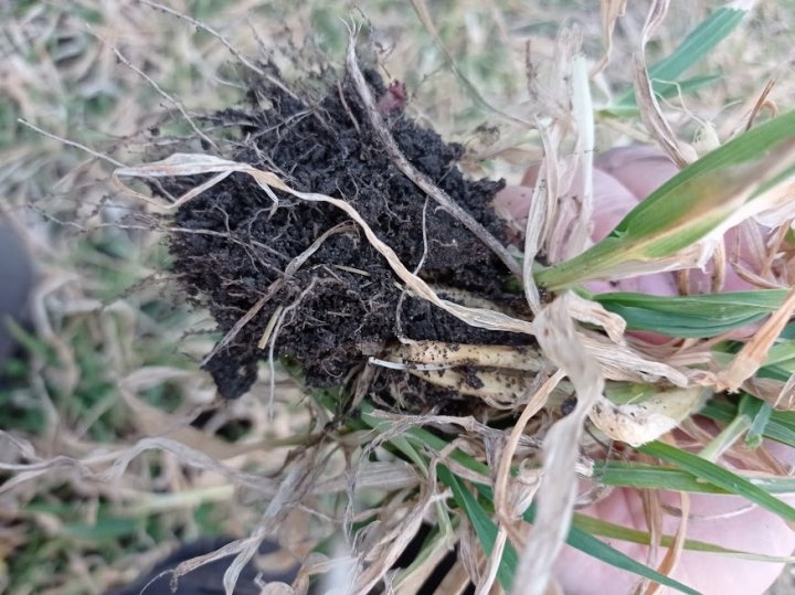 yv-NtDzH4nAId0MpXWgL8QNLlqKAoALCNlzg1g75