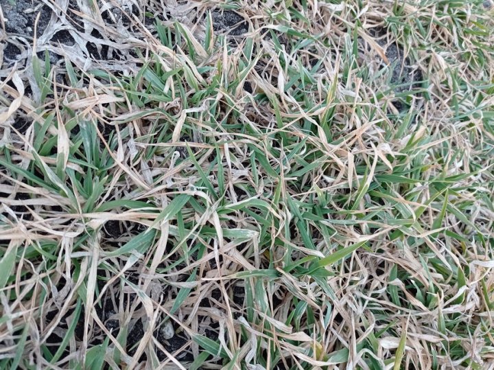 48RJfACcCWw67gYOzp2-ILDnQ52E8R8AVS0p7G_x