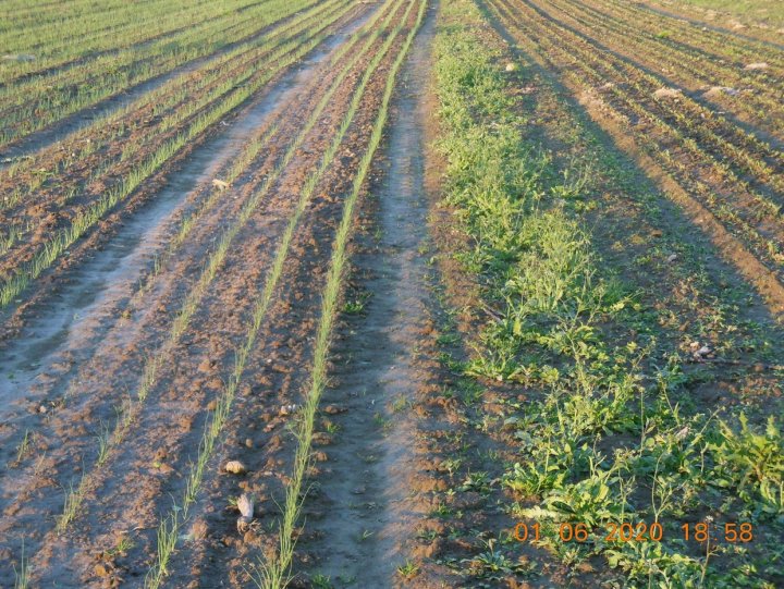 r2OwD5GTzhJX_vCCbyuUZu7I7jQRnTOBf3oyK6JR