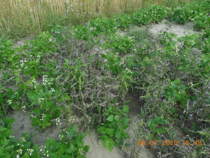 ACtC-3fBBFCPXhgunte5m9f_WrOEUPlQF0uw0FfS