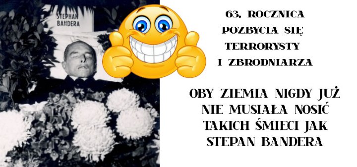 311571264_512483574095498_63066023755055