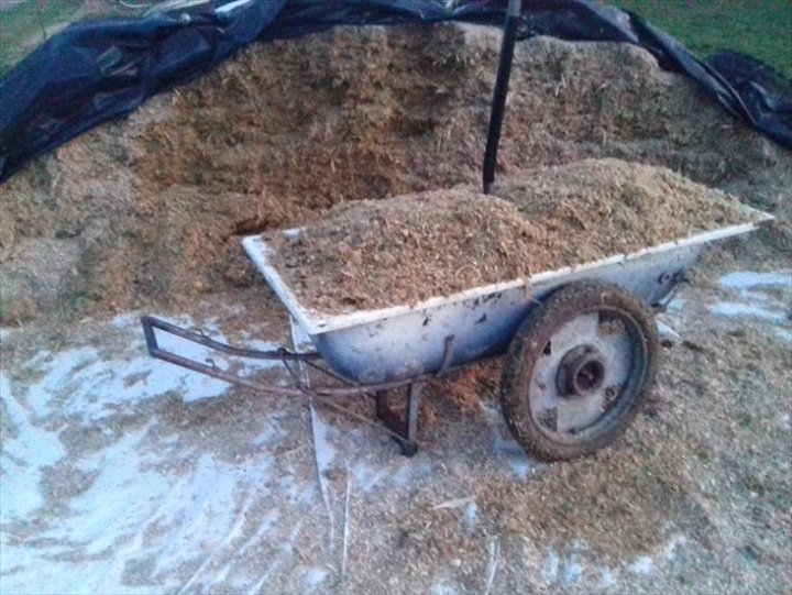 ChomikImage.aspx?e=TLpODpgiD3SrwYhvtKUvx