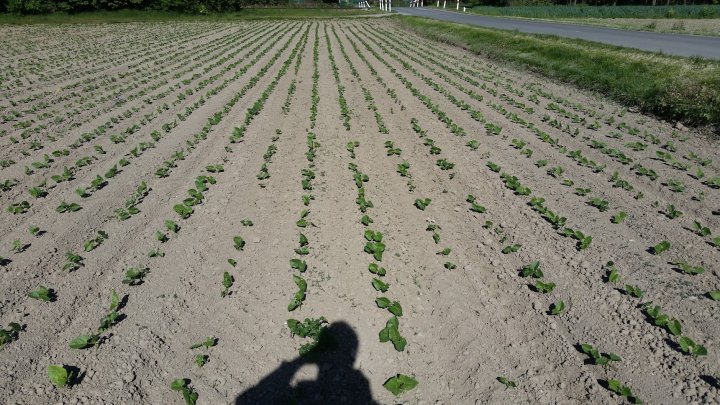 AP1GczMg8Qj44CDTEiywtQZ9wg4dYhiYitxkD7cG