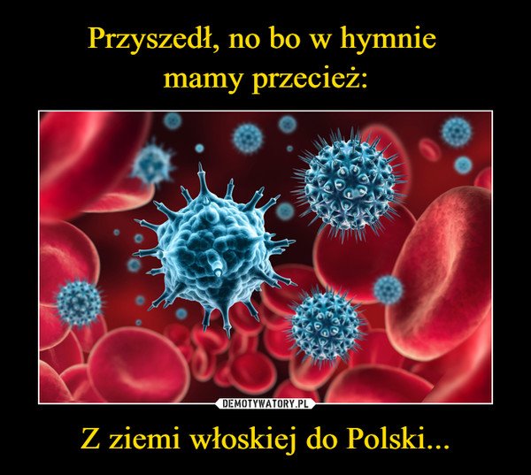 Kliknij i zobacz więcej!