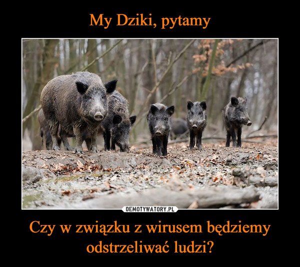 Kliknij i zobacz więcej!