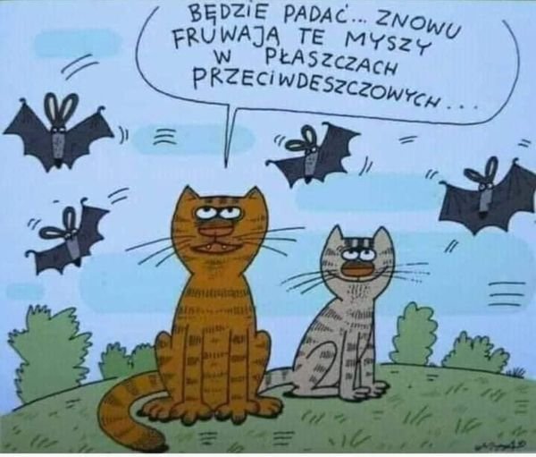 447962578_445329978242338_29894712882154