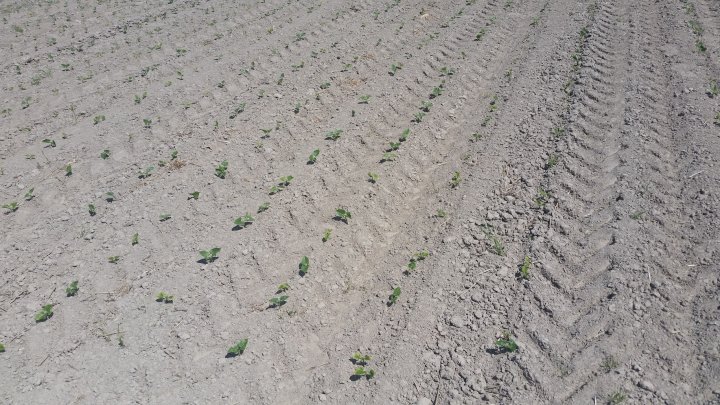 AP1GczPjZV8Hzb8dtyZ5WSN7IeYF0blrKZ9Dg78Z