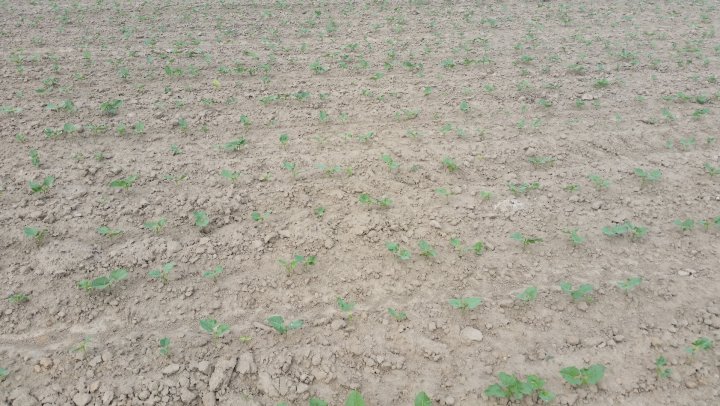 AJFCJaUdr3GHo16RNbHJkZMig2KbPnUhydiovMHs