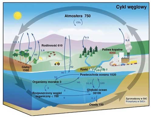 The Carbon Cycle, Earth Observatory, NASA, The Carbon Cycle, Earth Observatory, NASA 2011 (http://earthobservatory.nasa.gov/Features/CarbonCycle/carbon_cycle2001.pdf), Global Carbon Dioxide Emissions from Fossil-Fuel Combustion and Cement Manufacture, CDIAC (http://cdiac.ornl.gov/trends/emis/meth_reg.html