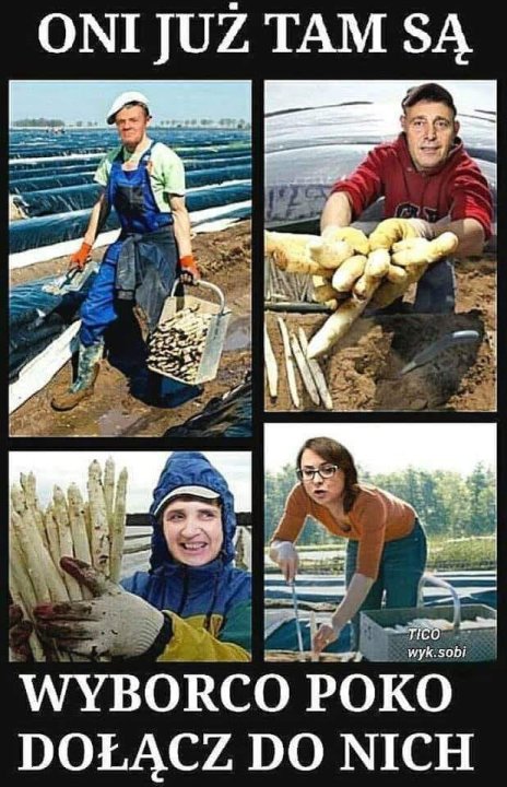 Może być zdjęciem przedstawiającym 4 osoby i tekst „ONI JUŻ Tam SĄ TICO wyk.sobi WYBORCO POKO DOŁĄCZ DO NICH”