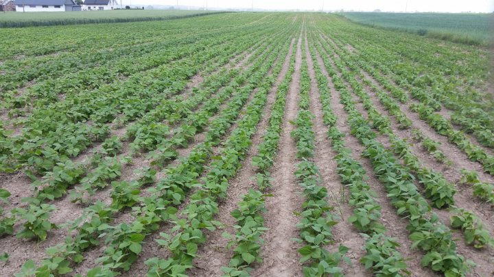 AM-JKLVViRnnPyzVaJAaFW0V7K-GUHHW5olryPFc