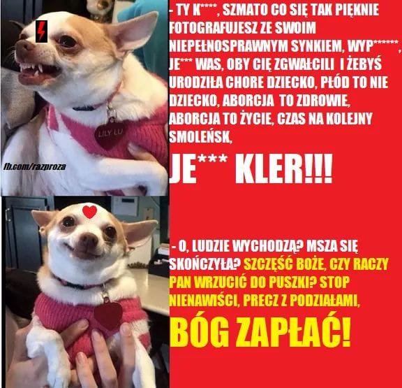 144232327_727014934876013_60556574945831