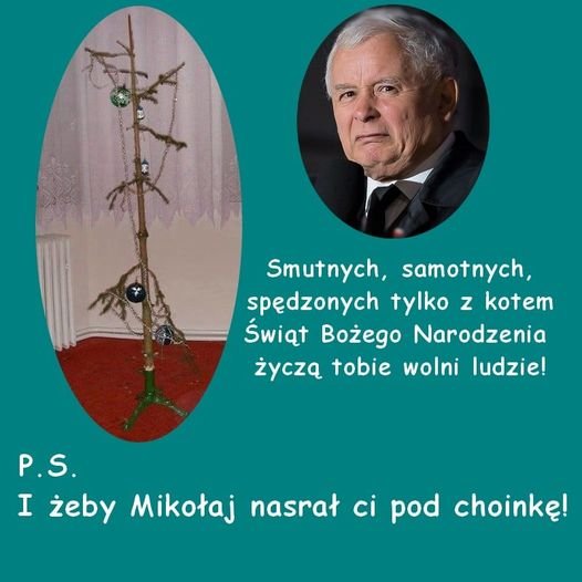Może być zdjęciem przedstawiającym 1 osoba, drzewo i tekst „Smutnych, samotnych, spędzonych tylko z kotem Świąt Bożego Narodzenia życzą tobie wolni ludzie! P.S. I żeby Mikołaj nasrał ci pod choinkę!”