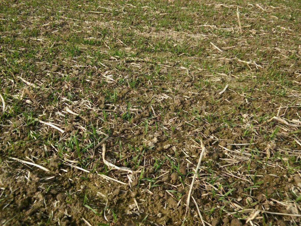 22770711_1614581265269314_53871266618684