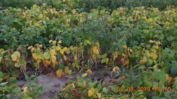 -cnKtpQbbHk9Oty_1Z2R6dzLB4EvuxvRMBCQOjQ4