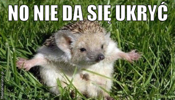 Znalezione obrazy dla zapytania ukryć mem