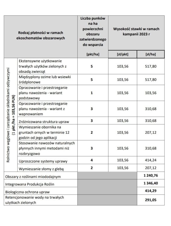 Może być zdjęciem przedstawiającym projekt i tekst