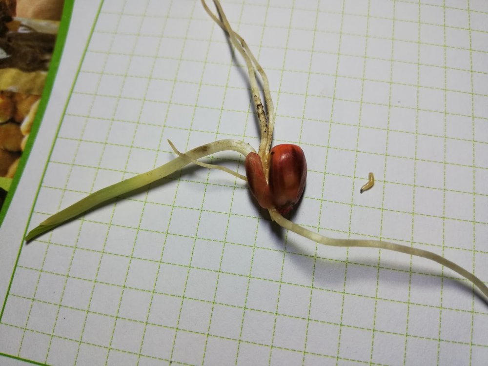 xQsjsVGbr5JyO8_qFLMIISqlBZ1pAZn9YLhtQt9E