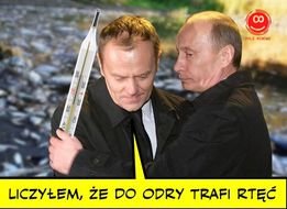 300196551_431610859000400_28531892220806