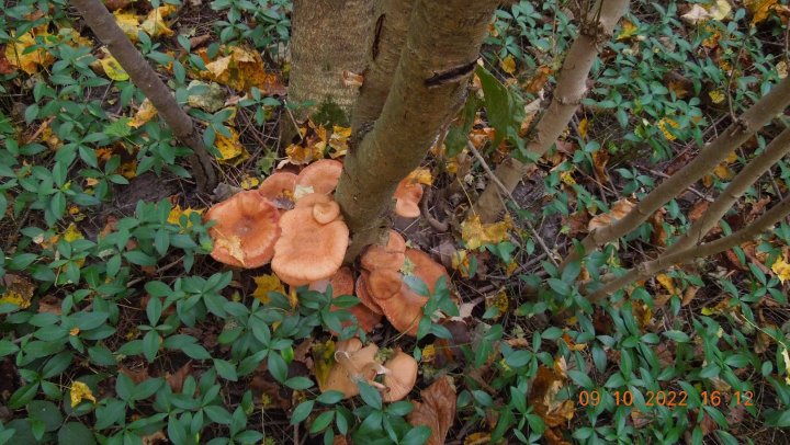 ABLVV84fxEYoGhxfdaXIYyK-yVNhCHUJ8BL3M57u