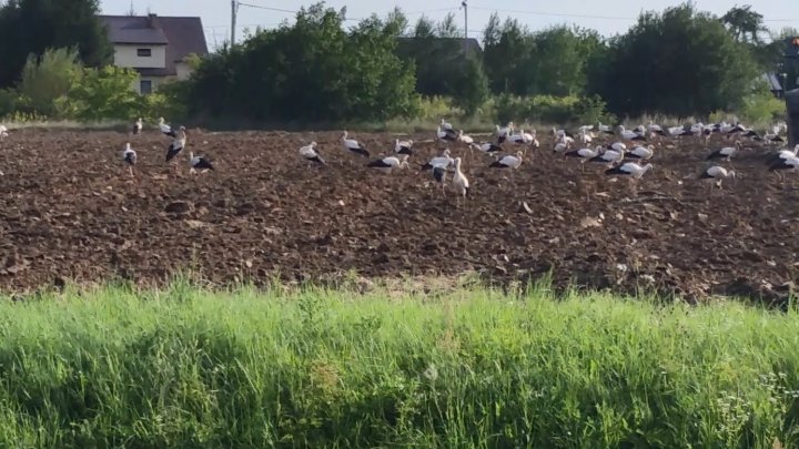 AL9nZEUm0ShhLnOVIlmv4uJWrgdW6Bt0WXO8di6J