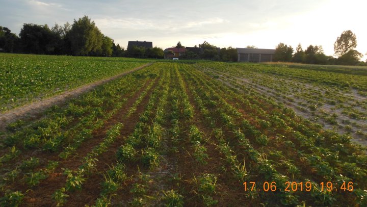 AP1GczPnnuh3K_n72m4LgiXX57plHZHIiBDHAGEz