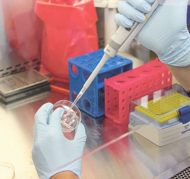 TABLETKA NA COVID-19