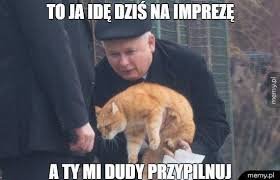 Jarosław Kaczyński MEMY na urodziny | Gazeta Lubuska