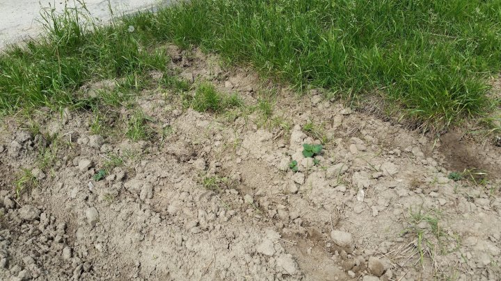 AP1GczPp5JlYpjF5PzUMobGH50mmEbXm-6499a1r