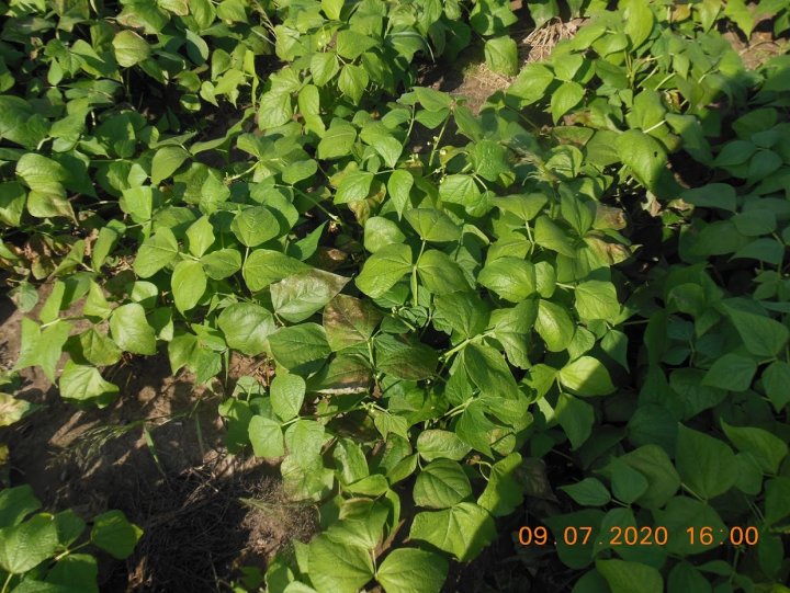 ACtC-3ec_31MFeS6cAM2lmPowx1FzH1IYEk8OaUW